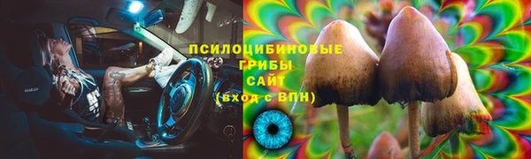 спиды Мегион