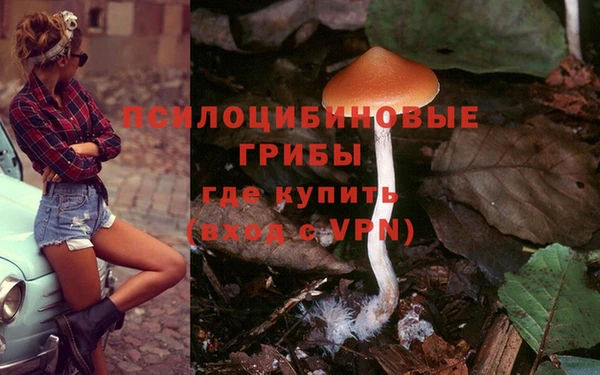 спиды Мегион