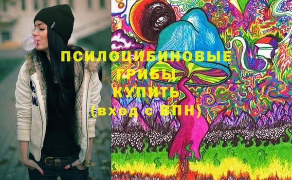 спиды Мегион