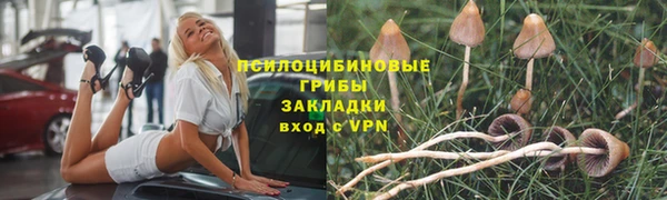 эйфоретик Медвежьегорск