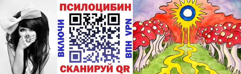 Галлюциногенные грибы Cubensis  закладка  Медногорск 